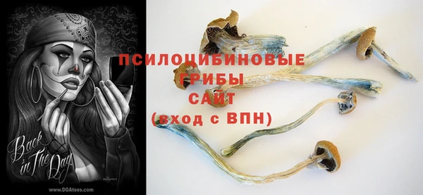 mdpv Пестово