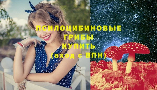 синтетический гашиш Алексеевка