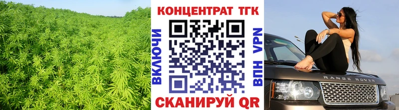 цена   Лянтор  kraken как зайти  ТГК гашишное масло 